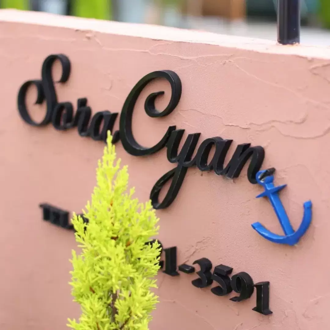Sora Cyanのホームページを新しくオープンしました。https://www.soracyan.net/
